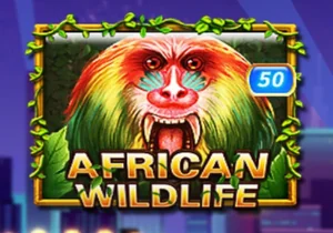 African Wildlife
