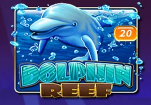 Dolphin Reef