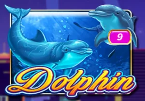 Dolphin