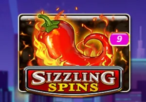 Sizzling Spins